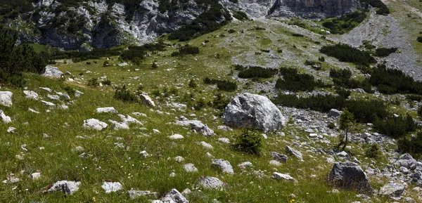 Szubalpin Környezet Julian Alpokban Magas Csúcs Triglav Nemzeti Park Szlovénia — Stock Fotó