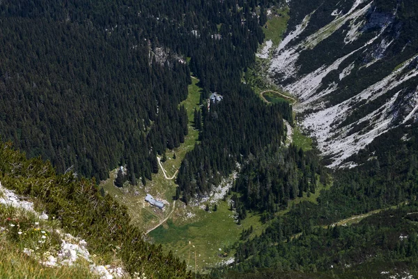 Pohled Údolí Duplje Vrcholku Hory Smohor Slovinsko Krn Lake Valley — Stock fotografie