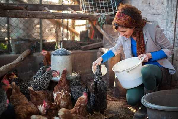 Happy Female Farmer Nurturing Poultry in the Domestic Henhouse