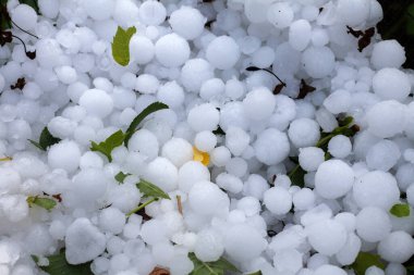 Full Frame Close-Up: Big Hailstones Captured Within Protective Nets. A Detailed View of Nature's Power and the Defense Offered by Hail Nets clipart