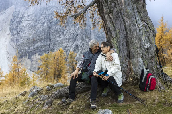 Candid Moment of Affection for a Senior Couple of Hikers Sitting Under a Scenic Larch Tree in Autumn European Alps - Slemenova Spica Peak Slovenia