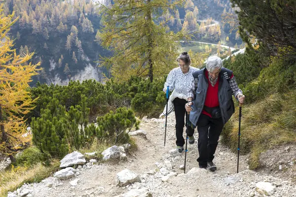 Front View of Senior Couple Active Lifestyle on Mountain Trekking in Autumn
