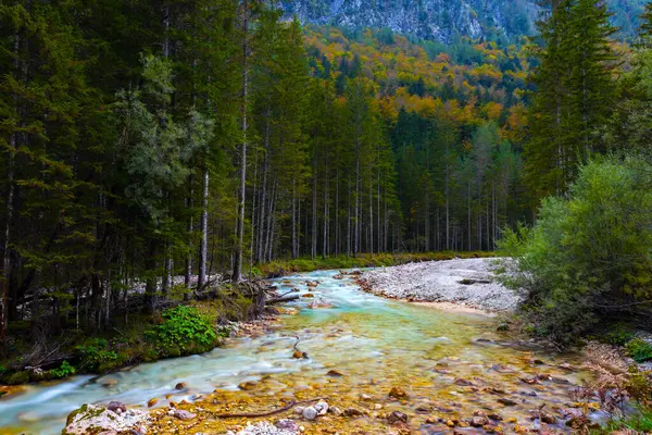 Údolí Vrata Triglav Národní Park Slovinsko Řeka Triglavska Bistrica Podzimních — Stock fotografie