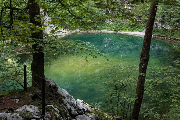 Nejkratší Řeka Slovinsku Také Nejhlubší Jezero Divoké Jezero Města Idrija — Stock fotografie