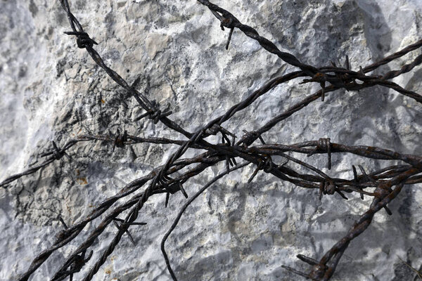 World War One Remains of Barb Wire all Around on the Ground in Julian Alps - Close Up on Detail