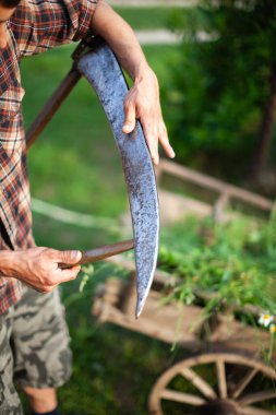 Yetişkin Çiftçi El Tırpanı Bir Çiftlikte Öğütüyor, Geleneksel Bir Tarlada Çimleri Keserken Kırsal Tarafın Eski Modası Yaşam Tarzı
