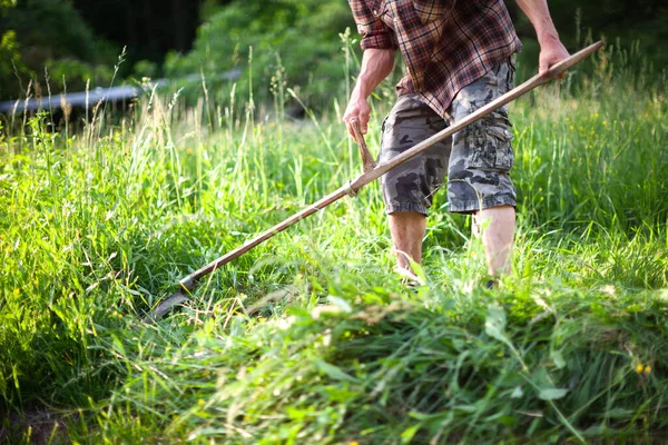 stock image Young Adult Farmer Cut Grass on the Meadow in a Traditional Way with a Hand Scythe - Countryside Old Fashioned Lifestyle