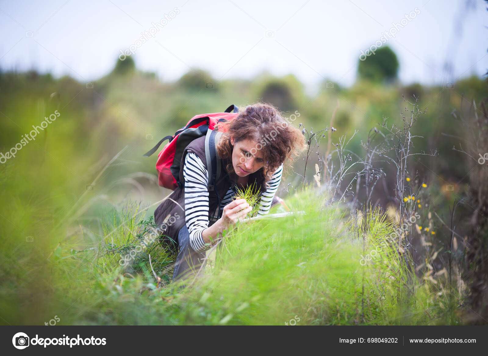 Female Botanical Expert Examining Equisetum Horsetail Snake Grass