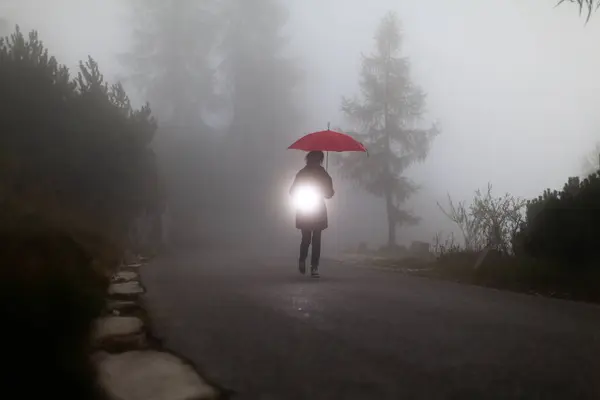 Person Walking on a Misty Road in Bad Visibility Conditions with a Torchlight and Red Umbrella to Be more Visible to the Traffic