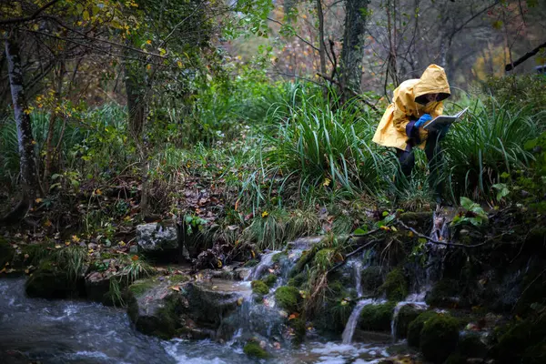 Intrepid Biologist Researcher Searching Traces Chemical Pollution Forest Environment Rainy — Stock fotografie