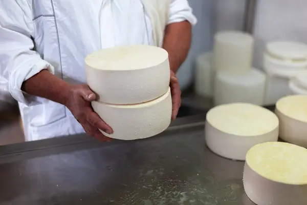 Fresh Dairy Products - Goat Cheese in Hands of Expert Farmer