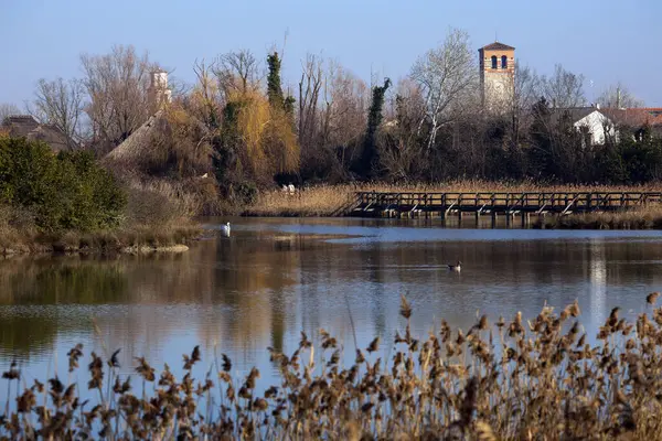 stock image Marano Lagunare Natural Reserve - Friuli Venezia Giulia Italy