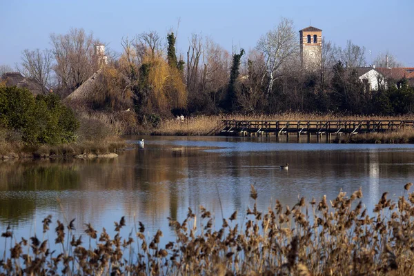 Rezerwat Przyrody Marano Lagunare Friuli Venezia Giulia Włochy Zdjęcie Stockowe