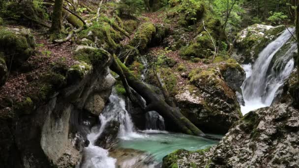 Sunik Water Stream Waterfalls Julian Alps Slovinsko — Stock video