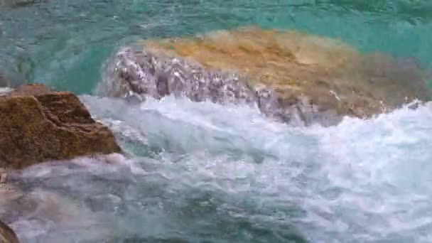Alpine Ποταμός Ρέει Πάνω Από Ένα Rock Close Video — Αρχείο Βίντεο