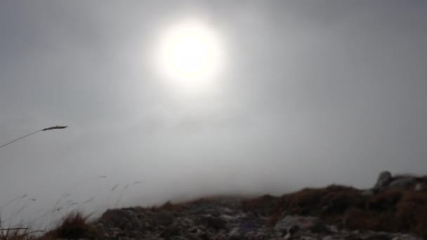 成年女性孤独行者从高山滑向迷雾谷 朱利安阿尔卑斯山 斯洛维尼亚山 — 图库视频影像