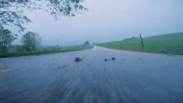 Jazda Mokrym Asfalcie Podczas Lekkiego Deszczu Bardzo Niskiej Perspektywy Wsi — Wideo stockowe