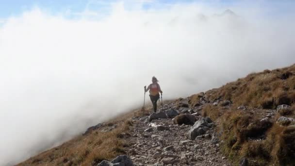 Adult Woman Solo Trekker Descendo Uma Montanha Para Vale Nebuloso — Vídeo de Stock
