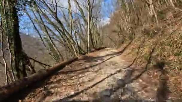 Bergop Rijden Een Zeer Moeilijke Bosweg Een Prachtige Winterdag — Stockvideo