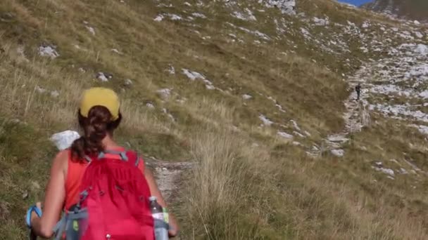 Доросла Жінка Соло Трекер Спускаючись Гори Туманну Долину Джуліан Альпи — стокове відео