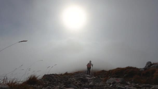 Dorosła Kobieta Solo Trekker Schodząca Góry Mglistej Doliny Alpy Julijskie — Wideo stockowe