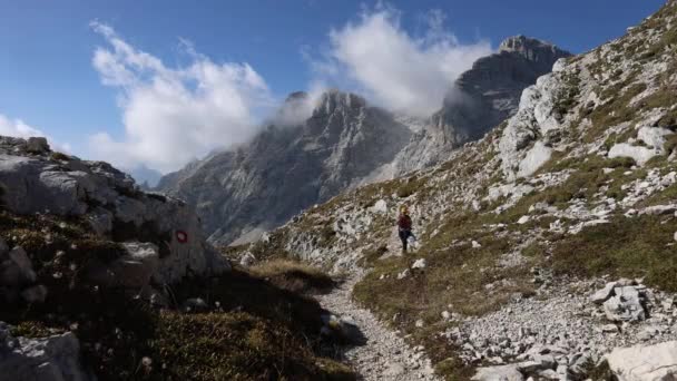 Adulto Mulher Mochileiro Caminhadas Belo Dia Ensolarado Sobre Alpes Europeus — Vídeo de Stock