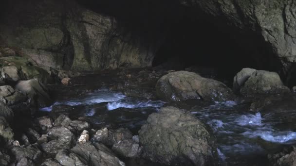 River Eltűnő Mészkő Underground Syphon River Rak Beavers Barlang Rakov — Stock videók