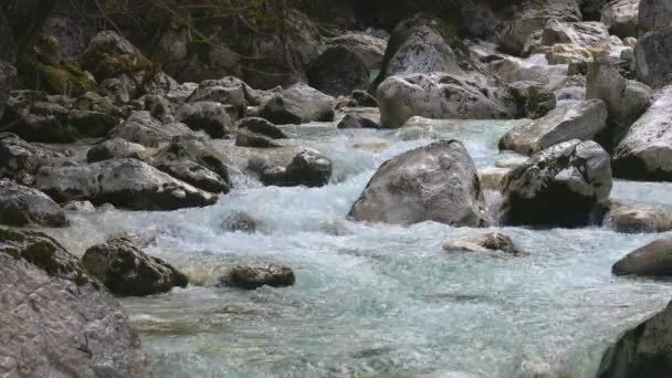 Julian Alps Slovenya Emerald Green River Soca — Stok video