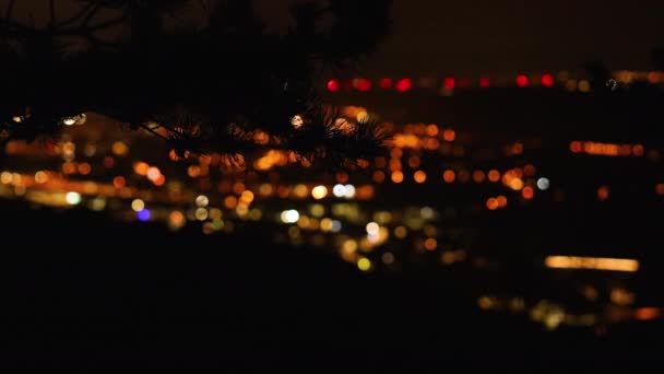 夜景中一座城市从山槽的树枝上俯瞰的景象 — 图库视频影像