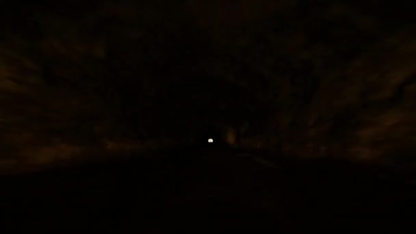 カメラ 車のゴーポビュー ジュリアンアルプスの下の古いWwiダークトンネル マングアートで運転 ライトが付いている無限の石トンネル — ストック動画