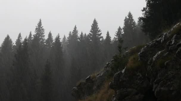夏山天气恶劣 欧洲高山棚屋屋檐下有雨的阿尔卑斯山 — 图库视频影像