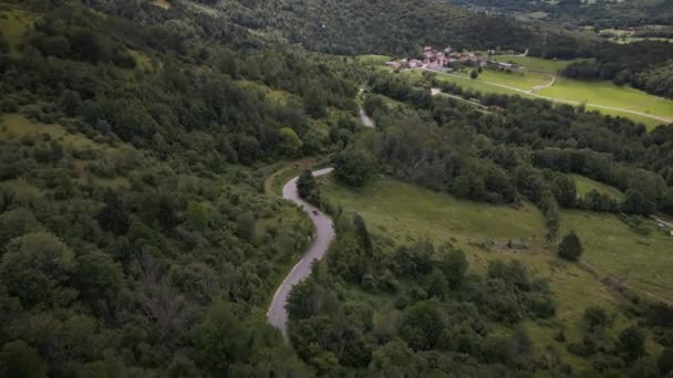 Vista Aérea Campiña Eslovenia Carretera Través Del Bosque Que Conduce — Vídeo de stock