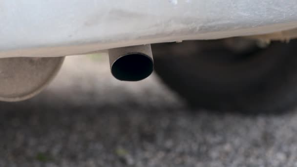 Morning Close Diesel Car Exhaust Pipe Engine Start Making Smoke — Stock Video