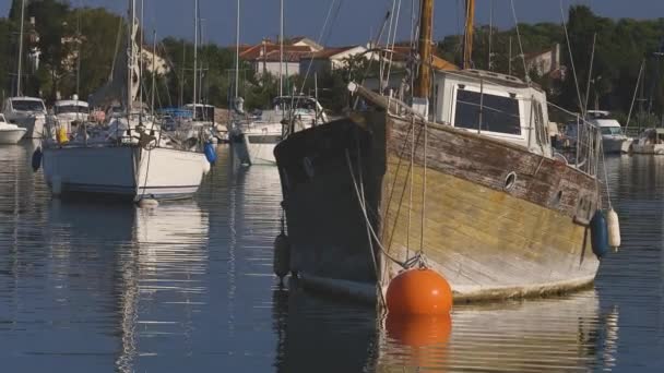 Old Wooden Sailboat Sebuah Teluk Laut Lampu Pagi — Stok Video