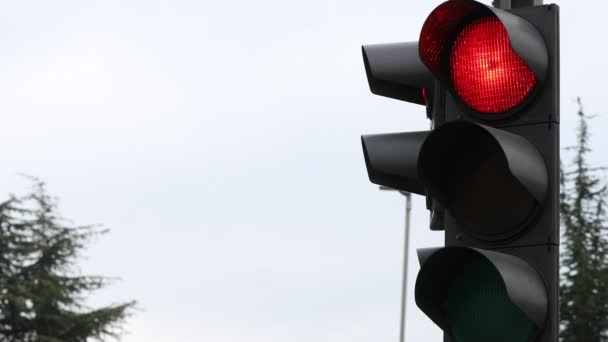Avrupa Trafik Işığı Kırmızıdan Yeşile Yakın — Stok video