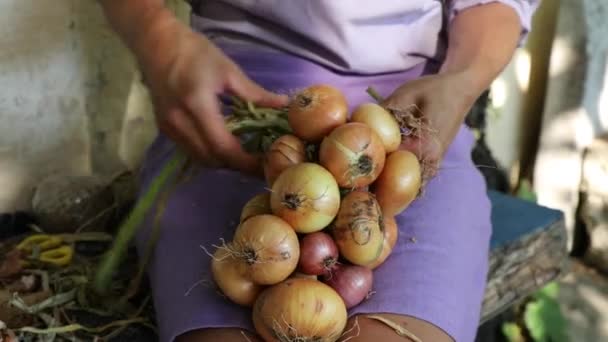 Mid Adult Caucasian Woman Mid Section Tricotar Pão Tradicional Cebolas — Vídeo de Stock