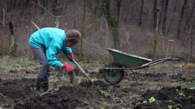 Kafkas Kadın Çiftçi Kış mevsiminde Bahar Serisi için kendi sebze bahçesini hazırlamaya başlıyor
