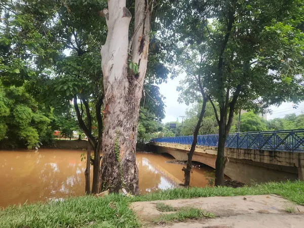 Alagamentos na Cidade de Sorocaba Ocorridos no dia 20 / 01 / 2024 Margens do Rio Sorocaba na Avenida Don Aguirre