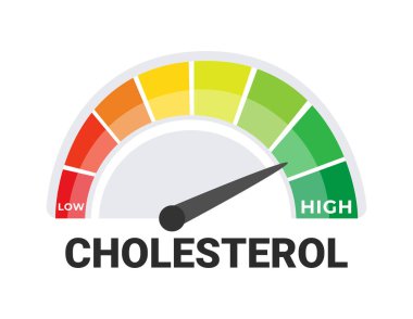 Kolesterol Metre Vektörü İllüstrasyonu, Düşük 'ten Yüksek' e, Sağlık ve Tıbbi Tanı Aracı 'na Seviyeleri Gösteriyor.