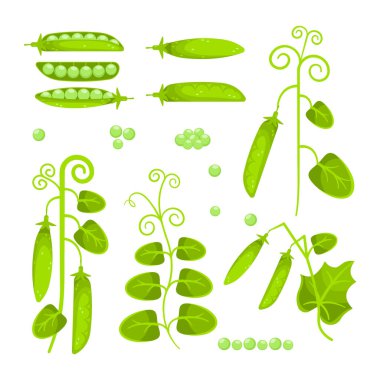 Olgun yeşil bezelye seti. Çiğ soya