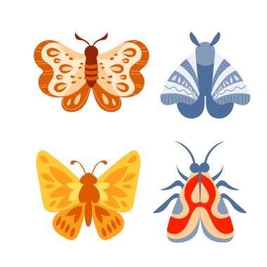 Kelebekler hazır. Bahar kelebeği renkli kanatlar. Tropik güzel çiçek böceği..