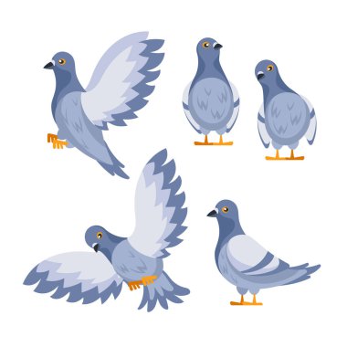 Kanatları açık uçan ve ayakta duran güvercinler..