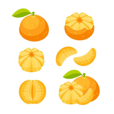 Mandarin, clementine. Taze mandalina dilimlenmiş ve ikiye bölünmüş.