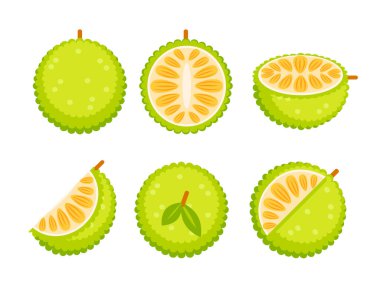 Tohum Kabuğu ve Fibröz Çekirdekli Jackfruit.