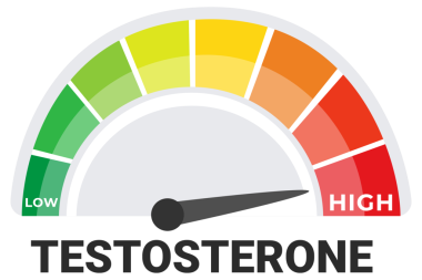 Yüksek Ölçekli Testosteron Seviyesi Göstergesi, Hormonal Sağlık ve Endokrinoloji Konsepti.