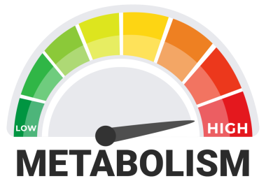 Metabolik Metabolizma Ölçüm Kavramı Düşük 'ten Yüksek' e Gösterge Seviyeleri.