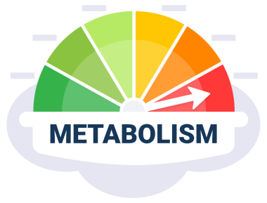 Metabolik Oran Değerlendirme Ölçeklendirmesini Renk Kodlu Metabolizma Bölgeleriyle Ölçekle.