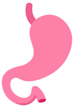 Mide sağlığının ve koşullarının çeşitli durumlarını gösteren, pembe tonlarda şekillendirilmiş mide simgeleri..