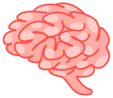 İnsan beyni yan ve üstten bakıldığında, yumuşak pembe tonlarda, insan zihninin karmaşıklığını temsil eder..