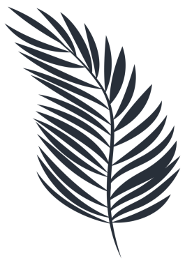 Tropikal bitki yaprağı siluetleri koleksiyonu, çeşitli şekil ve boyutlarda, botanik temalar için ideal.